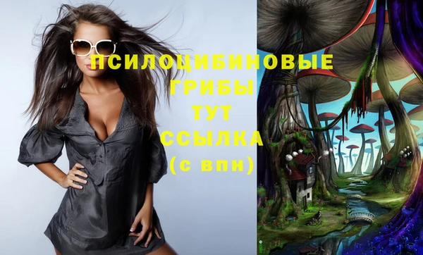 дмт Алексеевка