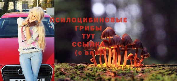 мяу мяу кристалл Алексин
