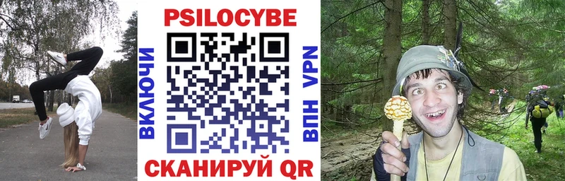 Галлюциногенные грибы Psilocybe  дарнет шоп  Бабаево 